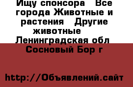 Ищу спонсора - Все города Животные и растения » Другие животные   . Ленинградская обл.,Сосновый Бор г.